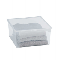 Contenitore multiuso Light Box lt - 37,8 x 39,6 x 18,5 cm - 23 lt - plastica - trasparente - Terry - 1001380 - 8005646013805 - DMwebShop