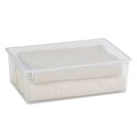 Contenitore multiuso Light Box XL - 57,8 x 39,6 x 18,5 cm - 36 lt - plastica - trasparente - Terry - 1001381 - 8005646013812 - DMwebShop