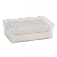 Contenitore multiuso Light Box XL - 57,8 x 39,6 x 18,5 cm - 36 lt - plastica - trasparente - Terry - 1001381 - 8005646013812 - DMwebShop