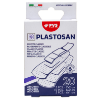 Cerotti classici - formati assortiti - conf. 20 pezzi - Pvs - CER157 - 8017990180027 - DMwebShop