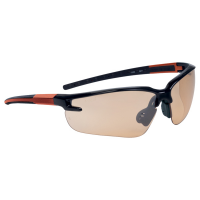 Occhiali Fuji 2 Gradient - policarbonato - Deltaplus - FUJI2NOOR - 3295249122768 - DMwebShop