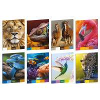 Maxiquaderno Animal Palette - A4 - 1 rigo - con margine - 21 fogli - 80 gr - Blasetti - 8951 - 8007758289512 - DMwebShop