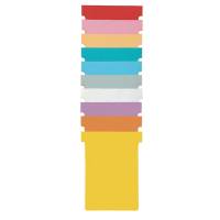 Schede a T indice 1 bianche per Professional Planner - conf. 100 pezzi - Nobo - 2001002 - 5016812388989 - DMwebShop