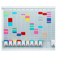 Professional Planner - 80 x 73 x 1,5 cm - 100 schede indice 1 bianche e 1000 schede indice 2 colorate incluse - Nobo 32938864
