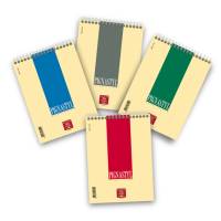 Bloccostyl spiralato - 1 rigo - A5 - 80 gr - 60 fogli - Pigna - 02156271R - 8005235434639 - DMwebShop