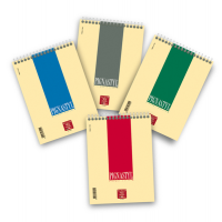 Bloccostyl spiralato - 1 rigo - A5 - 80 gr - 60 fogli - Pigna - 02156271R - 8005235434639 - DMwebShop