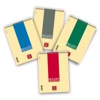 Blocco conf. 10 pezzi - Pignastyl spiralato - 5 mm - A5 - 80 gr - 60 fogli - Pigna - 02156275M - 8005235079458 - DMwebShop