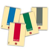 Bloccostyl spiralato - 1 rigo - A4 - 80 gr - 60 fogli - Pigna - 02156281R - 8005235079472 - DMwebShop