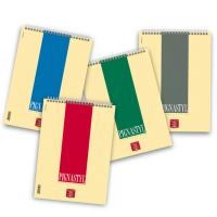 Bloccostyl spiralato - 1 rigo - A4 - 80 gr - 60 fogli - Pigna - 02156281R - 8005235079472 - DMwebShop