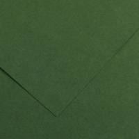 Foglio Colorline 70 x 100 cm 220 gr verde abete - 2351