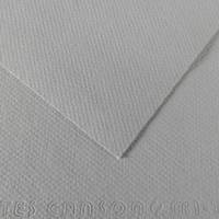 Foglio Mi Teintes A4,160 gr grigio flanella - 2404