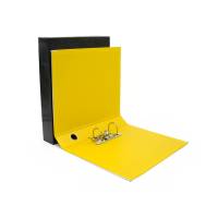 Registratore Kingbox - dorso 5 cm - protocollo - 23 x 33 cm - giallo - Starline - RXP5GI - 8025133028846 - DMwebShop - 1