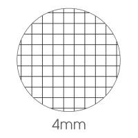 MaxiQuaderno Color 80 - A5 - quadretto 4 mm - 96 fogli - 80 gr - cartonato - Colori Assortiti - conf. 5 pezzi - BM - 0105365 - 8008234053795 - DMwebShop - 1