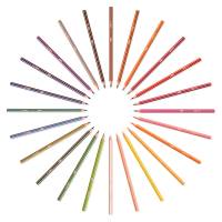 Matita colorata Evolution Stripes - colori assortiti - conf. 24 pezzi - Bic - 9505251 Bic Kids - 3086123499133 - DMwebShop - 2