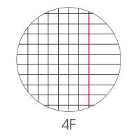 Maxiquaderno Animal fantasia A4,40,2 fogli 80 gr 4 mm con margine - 22541 - 1