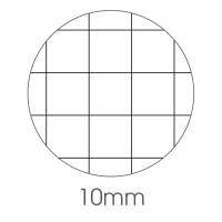 Maxiquaderno Animal fantasia A4,40,2 fogli 80 gr 10 mm - 25401 - 1