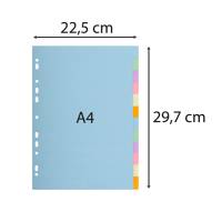 Separatore Forever Pastel - A4 - 12 tasti - cartoncino - 170 gr - Exacompta - 1612E - 3130630016120 - DMwebShop - 2