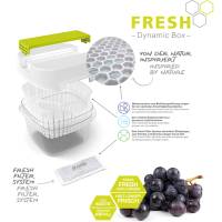 Contenitore per alimenti Dynamic Box Fresh - 1,6 lt - Rotho - F710256 - 7610859256935 - DMwebShop - 3