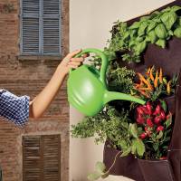 Annaffiatoio - 2 lt - Verdemax - 5937 - 8015358059374 - DMwebShop - 1