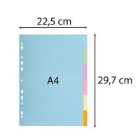 Separatore Forever - A4 - 6 tasti - cartoncino - 170 gr - Exacompta - 1606E - 3130630016069 - DMwebShop - 1