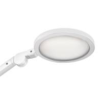 Lampada Giant - a led - con base in legno - bianco - Cep - 2003505301 - 3462159017181 - DMwebShop - 1