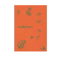 Maxiquaderno Be More Planet A4,1 rigo 38 fogli 80 gr - 26300 - 9