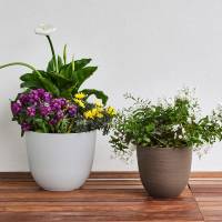 Vaso Over - 85 lt - verde foresta - Teraplast - 33706058239 - 8051560177932 - DMwebShop - 1