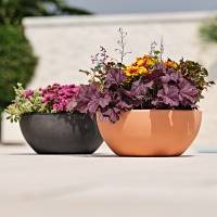 Vaso ciotola Era 25 lt PE antracite - 27538 - 1