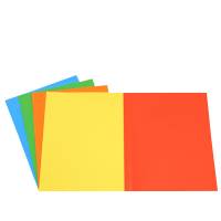 Cartellina semplice - 200 gr - 25 x 34 cm - cartoncino bristol 5 colori assortiti - conf. 50 pezzi - Starline - OD0113BLXXXAJ15 - 8025133102676 - DMwebShop