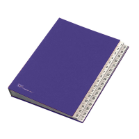 Classificatore numerico 1/31 - 643D - 24 x 34 cm - blu - Fraschini - 643D-BLU - 8027032022000 - DMwebShop