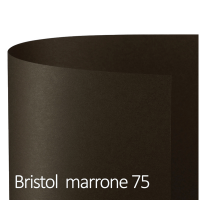 Cartoncino Bristol Color - 70 x 100 cm - 200 gr - marrone 75 - conf. 10 pezzi - Favini - A3580A1 - 8007057590203 - DMwebShop