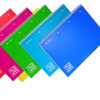 Quaderno One Color - A5+ - forato - quadretto 4 mm - 80 fogli - 80 gr - spiralato - copertina PPL - conf. 6 pezzi - Blasetti - 2937 - 8007758129375 - DMwebShop