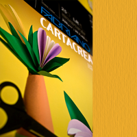 Cartoncino CartaCrea - 35 x 50 cm - 220 gr - avana - blister 10 fogli - Fabriano - 46435103 - 8001348127574 - DMwebShop