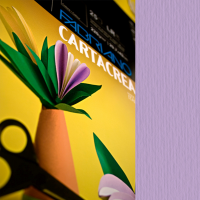 Cartoncino CartaCrea - 35 x 50 cm - 220 gr - violetto - blister 10 fogli - Fabriano - 46435124 - 8001348127765 - DMwebShop