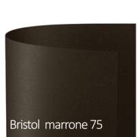 Cartoncino Bristol Color 70 x 100 cm 200 gr marrone 75 - 18658