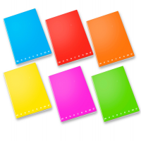Maxiquaderno Monocromo Fluo - A4 - 1 rigo - 42 fogli - 80 gr - conf. 10 pezzi - Pigna - 02267921R - 8005235507319 - DMwebShop
