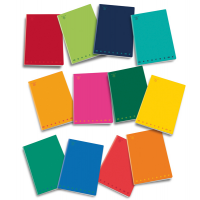 Quaderno Monocromo - A5 - 4 mm - 80 gr - 42 fogli - conf. 10 pezzi - Pigna - 0221778-7 - 8005235122916 - DMwebShop