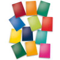 Maxiquaderno Monocromo - A4 - 10 mm - 80 gr - 42 fogli - conf. 10 pezzi - Pigna - 022988710 - 8005235155954 - DMwebShop