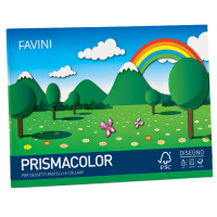 Album Prismacolor - 24 x 33 cm - 10 fogli - 128 gr - monoruvido - Favini - A12X244 - 8007057900064 - DMwebShop
