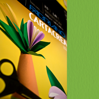 Cartoncino CartaCrea - 35 x 50 cm - 220 gr - verde 111 - blister 10 fogli - Fabriano - 46435111 - 8001348127642 - DMwebShop