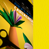 Cartoncino CartaCrea - 35 x 50 cm - 220 gr - giallo 107 - blister 10 fogli - Fabriano - 46435107 - 8001348127604 - DMwebShop