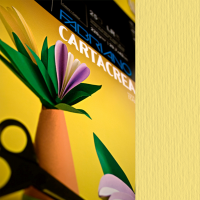 Cartoncino CartaCrea - 35 x 50 cm - 220 gr - onice 117 - blister 10 fogli - Fabriano - 46435117 - 8001348127697 - DMwebShop