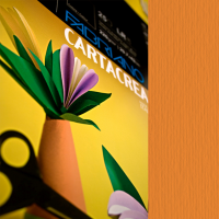Cartoncino CartaCrea - 35 x 50 cm - 220 gr - arancio 108 - blister 10 fogli - Fabriano - 46435108 - 8001348127611 - DMwebShop