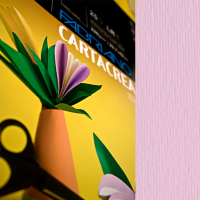 Cartoncino CartaCrea - 35 x 50 cm - 220 gr - rosa 116 - blister 10 fogli - Fabriano - 46435116 - 8001348127680 - DMwebShop