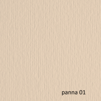 Cartoncino Elle Erre - 70 x 100 cm - 220 gr - panna 101 - blister 10 fogli - Fabriano - 46470101 - 8001348121411 - DMwebShop