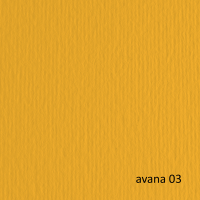 Cartoncino Elle Erre - 70 x 100 cm - 220 gr - avana 103 - blister 10 fogli - Fabriano - 46470103 - 8001348121855 - DMwebShop