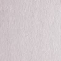 Cartoncino FAcolore - 70 x 100 cm - 200 gr - bianco - liscio - blister 10 fogli - Fabriano - 46303220 - 8001348121145 - DMwebShop