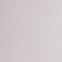 Cartoncino FAcolore - 70 x 100 cm - 200 gr - bianco - liscio - blister 10 fogli - Fabriano - 46303220 - 8001348121145 - DMwebShop