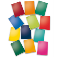 Maxiquaderno Monocromo - A4 - bianco - 42 fogli - 80 gr - conf. 10 pezzi - Pigna - 0229887BI - 8005235045262 - DMwebShop