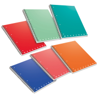 Maxiquaderno Monocromo - A4 - quadretto 5 mm - 70 fogli - 80 gr - 4 fori - microperforato - spiralato - conf. 5 pezzi - Pigna - 02155555M - 8005235434202 - DMwebShop